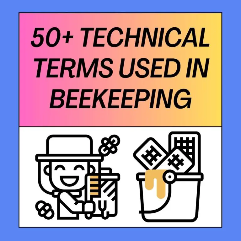 50+ Technical Terms Used In Beekeeping