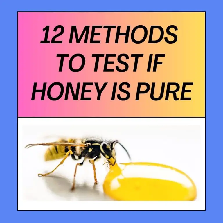 10 Methods To Test If Honey Is Pure