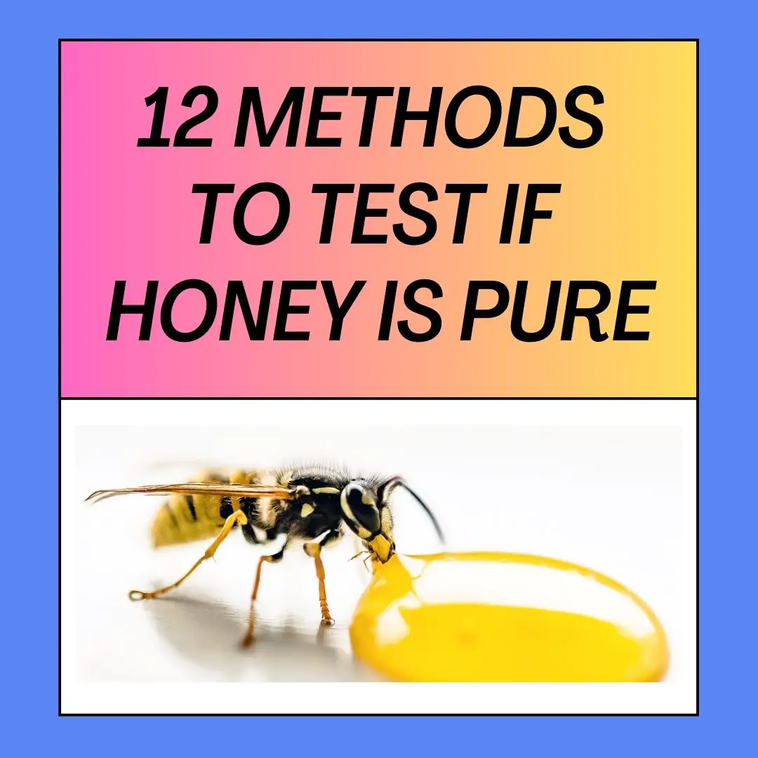 Methods To Test If Honey Is Pure