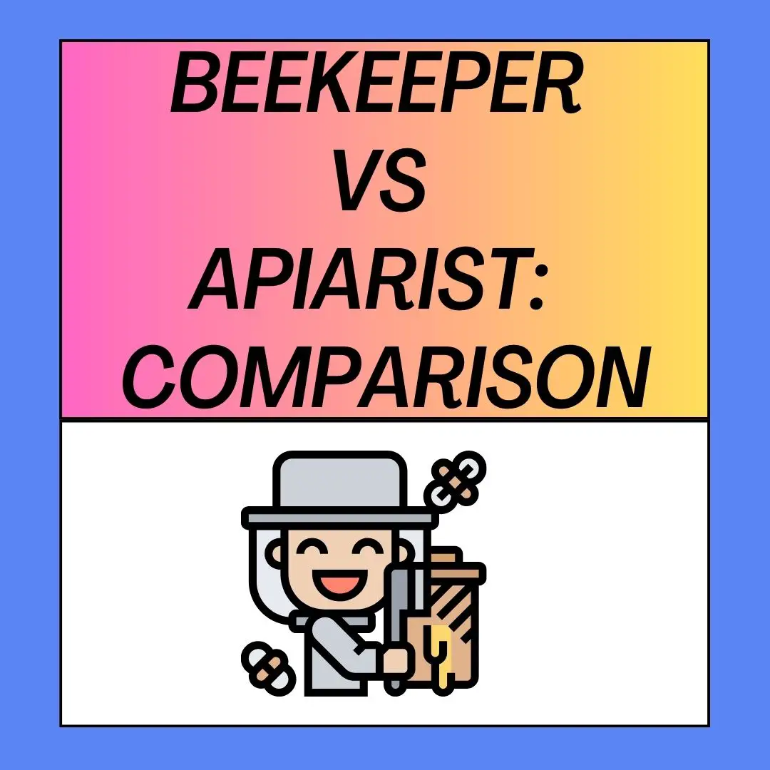 Beekeeper vs Apiarist