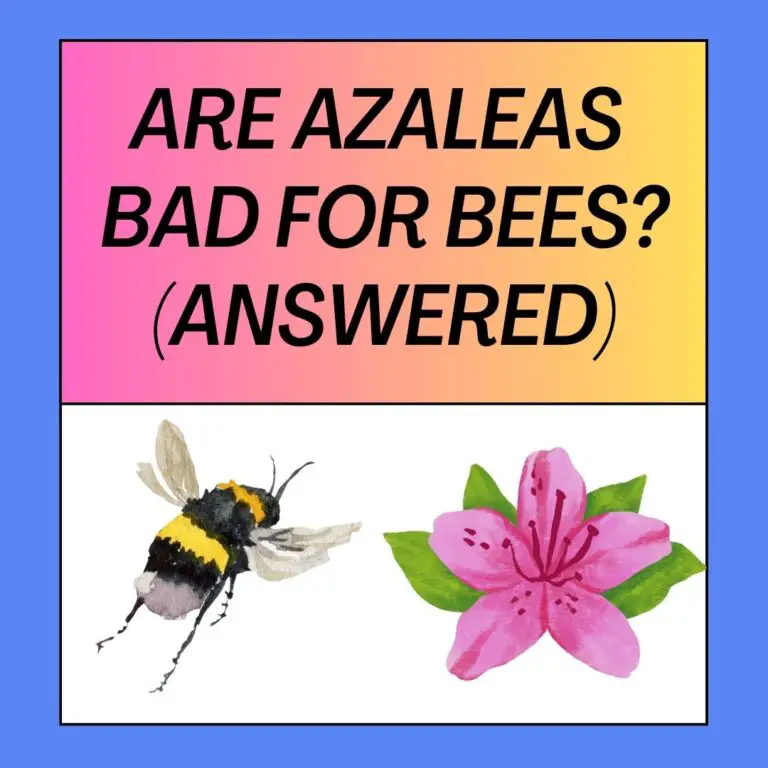 Are Azaleas Bad For Bees? (Logical Answer)