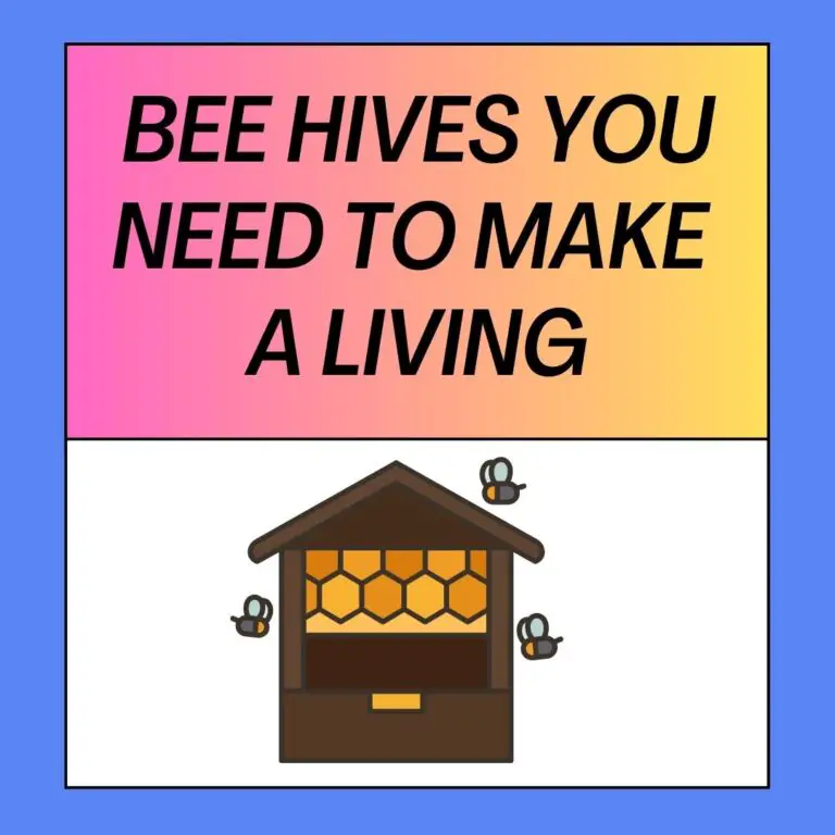 How Many Bee Hives Do You Need To Make A Living?