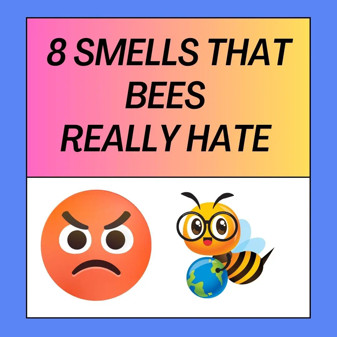 Smells That Bees Hate
