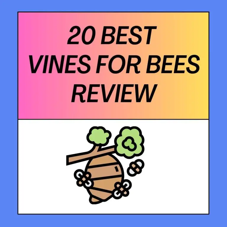 20 Best Vines for Bees: A Comprehensive Guide