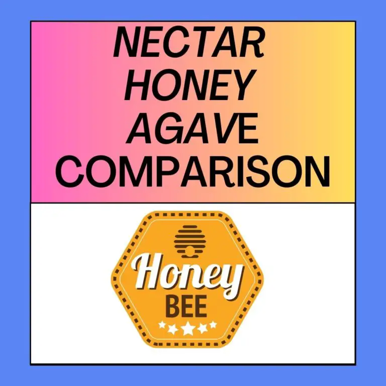 Nectar vs. Honey vs. Agave: Exploring Nature’s Sweeteners
