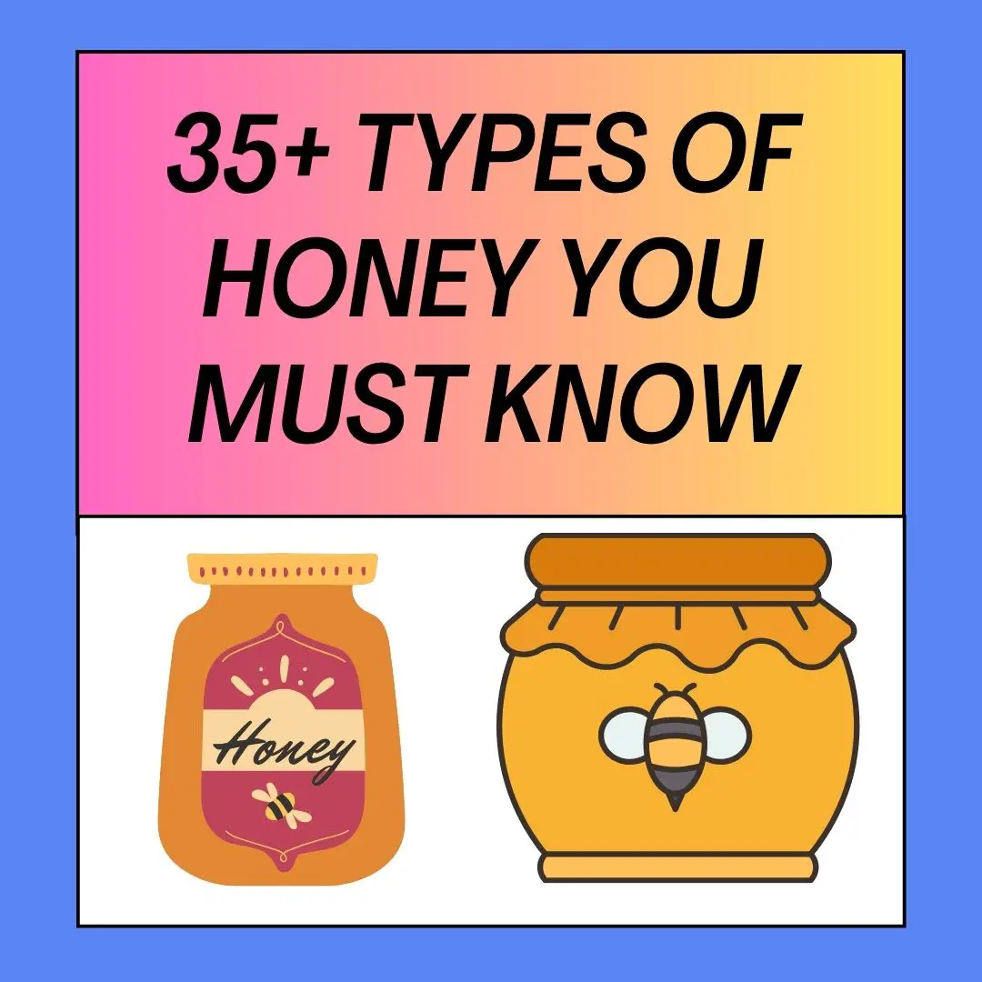 Types of Honey You Must Know