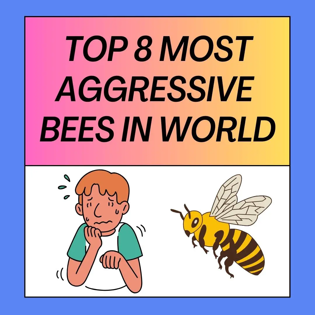 Most Aggressive Bees in the World