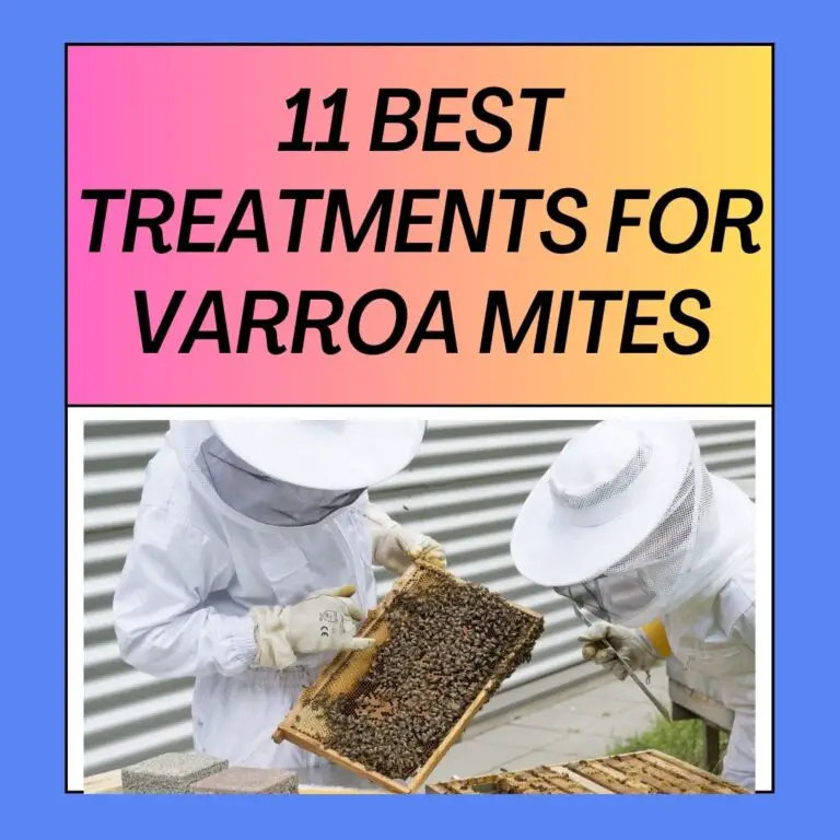 11 Best Treatments for Varroa Mites in Beehives