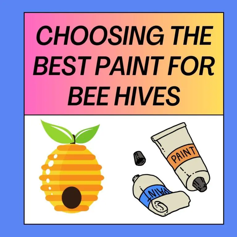 7 Best Paint for Bee Hives : Complete Guide 2023