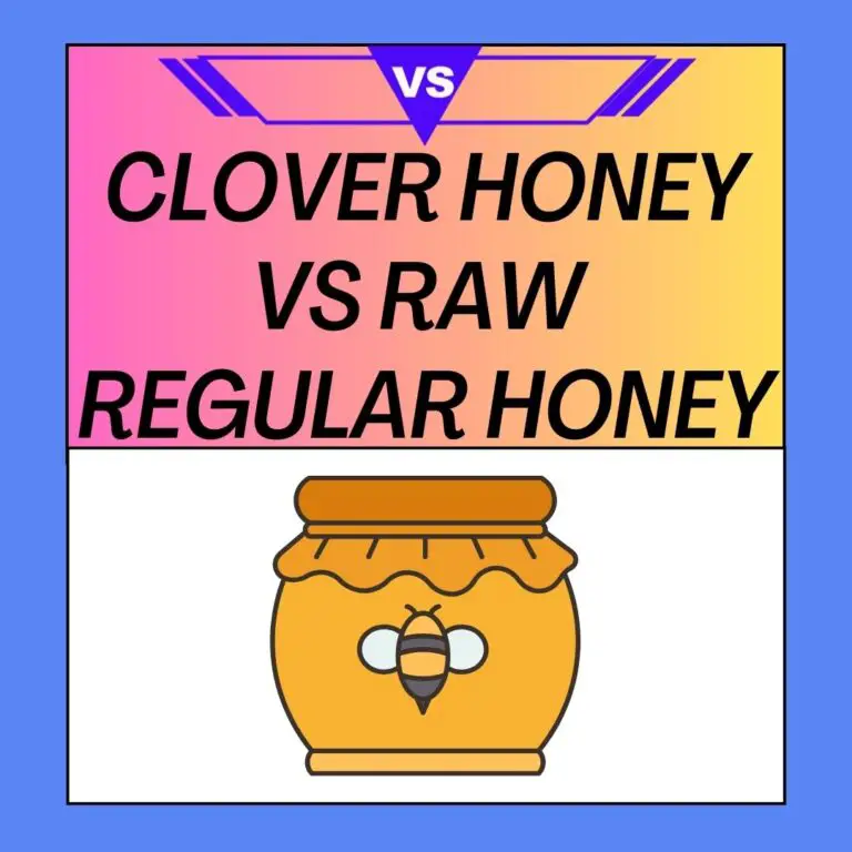 Clover Honey vs Raw and Regular Honey: Unveiling Sweet Differences