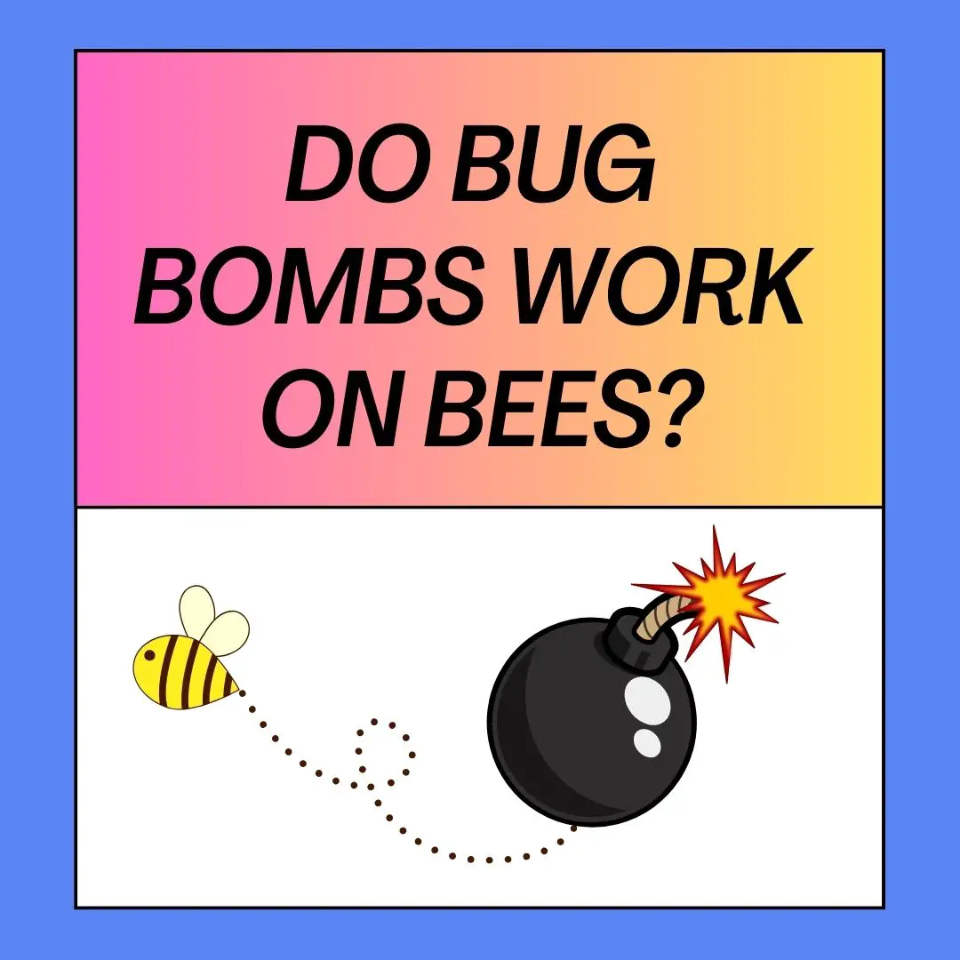 Do Bug Bombs Work On Bees