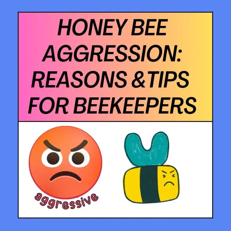 Honey Bee Aggression: Reasons and Tips for Beekeepers