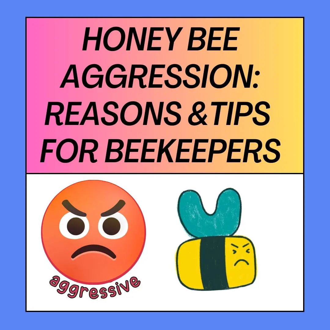 Honey Bee Aggression Reasons and Tips for Beekeepers