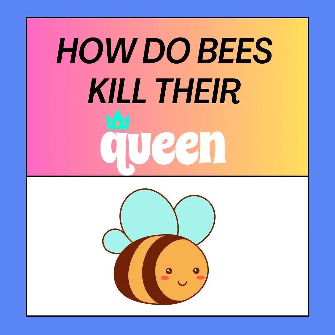 How Do Bees Kill Their Queen