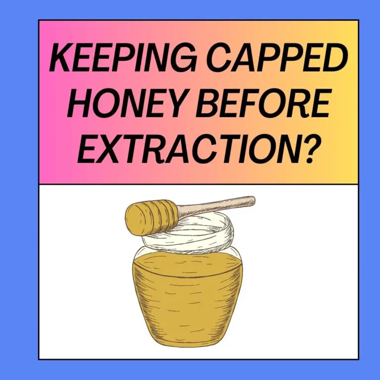 How Long Can You Keep Capped Honey Before Extraction?