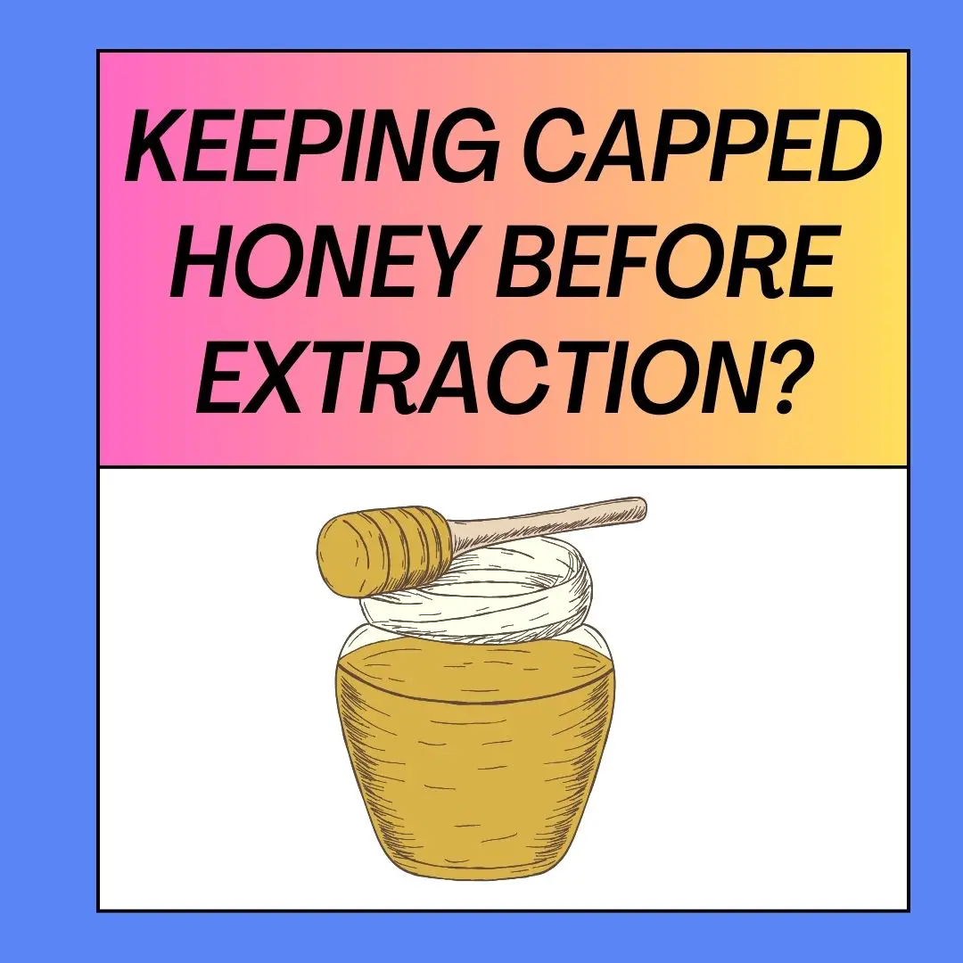 How Long Can You Keep Capped Honey Before Extraction