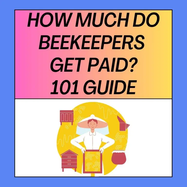 How Much Do Beekeepers Get Paid? 101 Guide