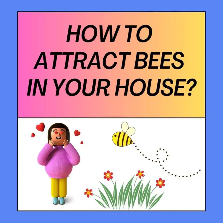 How To Attract Bees In Your House?