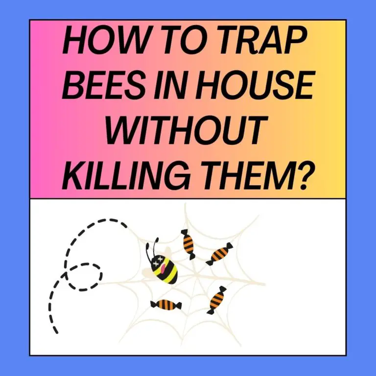 How To Trap Bees In Your House Without Killing Them?