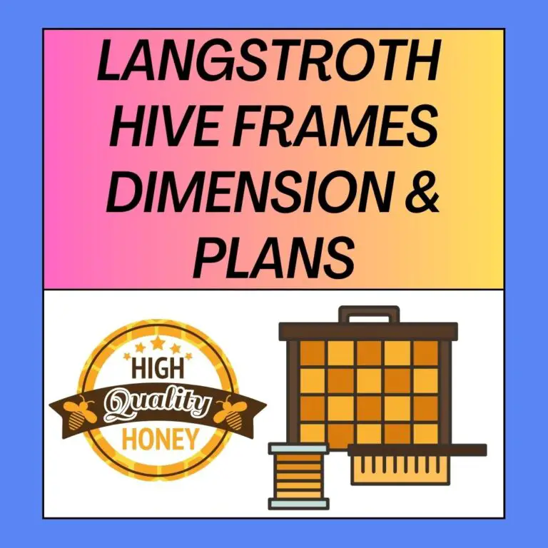 Langstroth Hive Frames Dimensions and Plans 2023