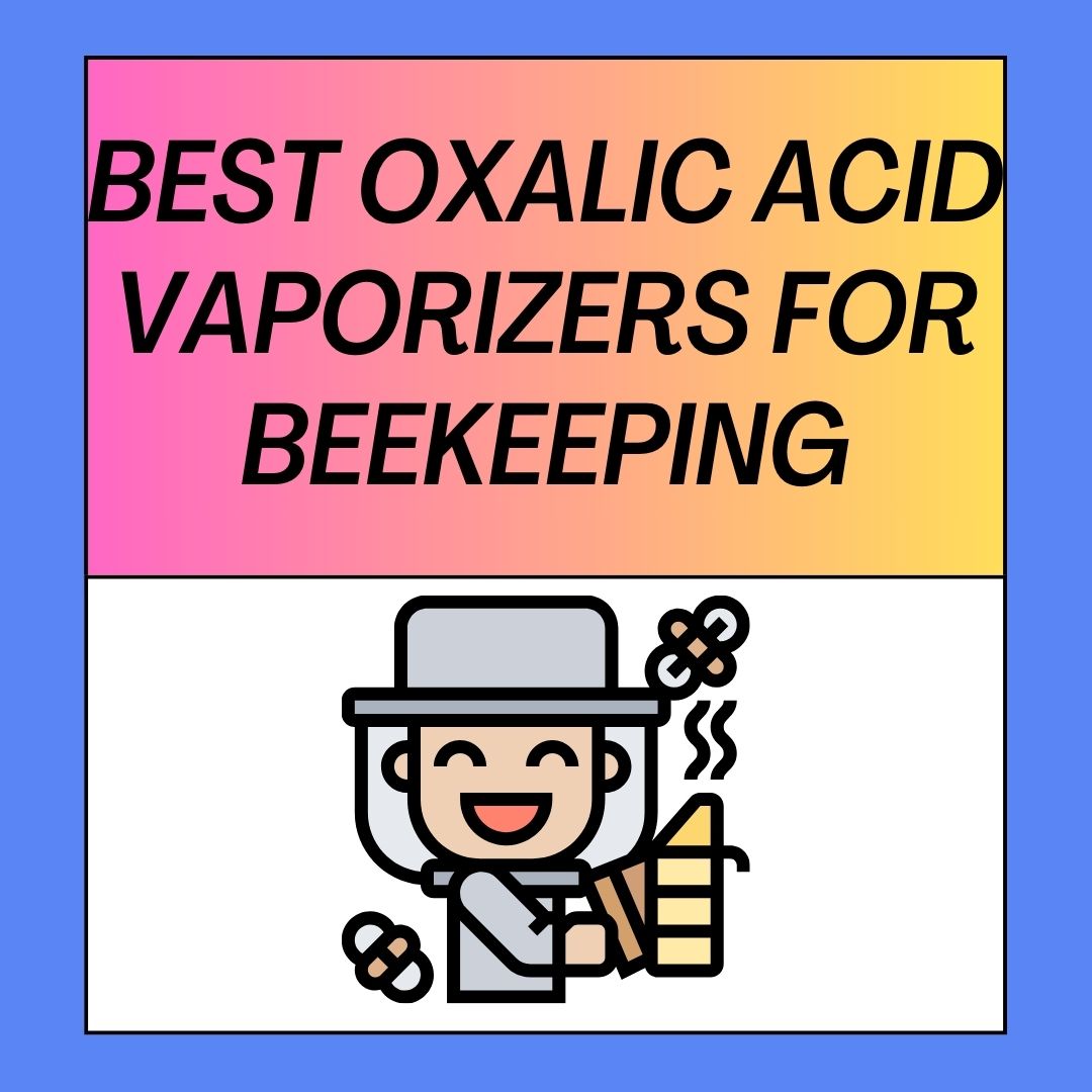 The Best Oxalic Acid Vaporizers for Beekeeping