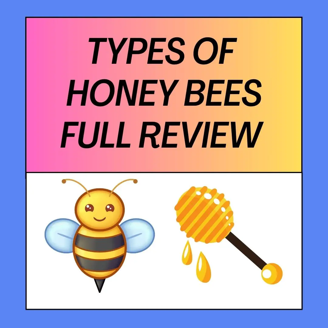 20 Types of Honey Bees
