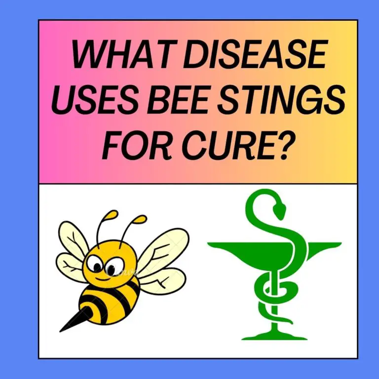 What Disease Uses Bee Stings For Cure?
